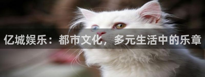 风暴娱乐登录入口