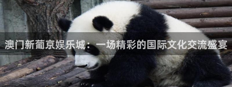 风暴娱乐登录入口