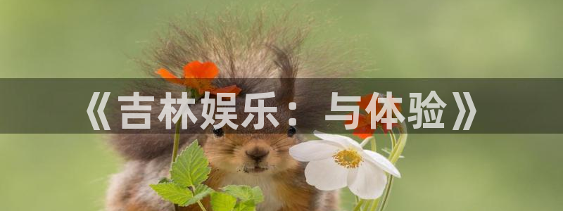 风暴娱乐登录