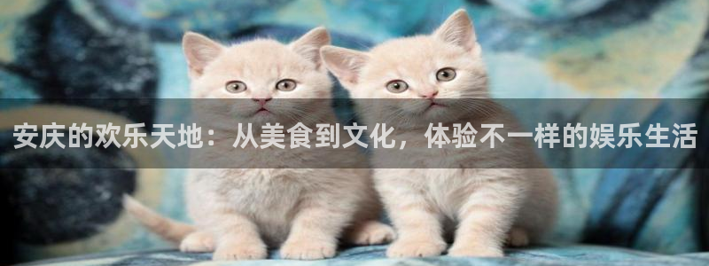 风暴娱乐登录地址