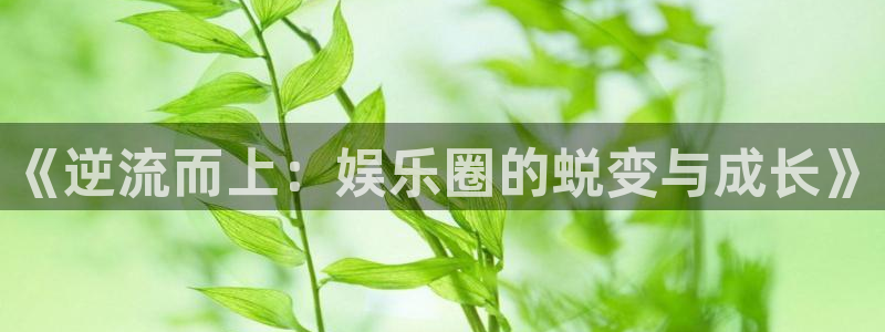 风暴娱乐登录入口