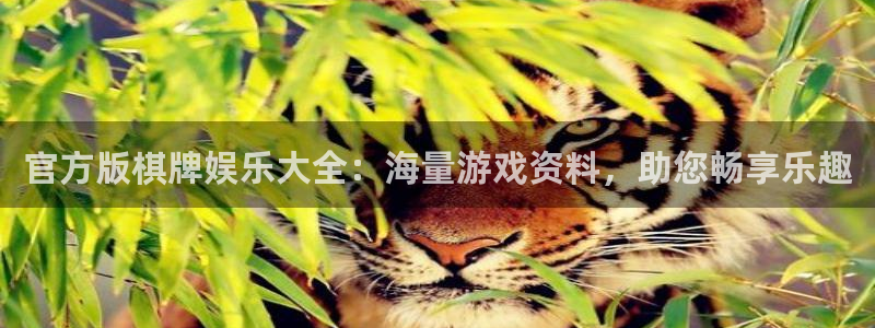 风暴娱乐登录地址