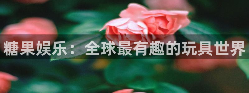 风暴娱乐